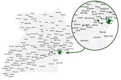 A field-based recommender system for crop disease detection using machine learning